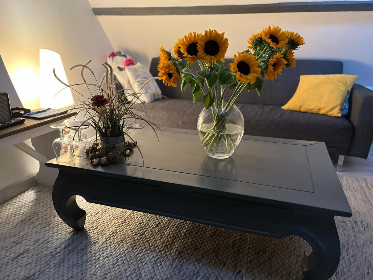 Maison 4 Personnes Tout Confort Alentours Boulogne Sur Mer Samer Екстериор снимка